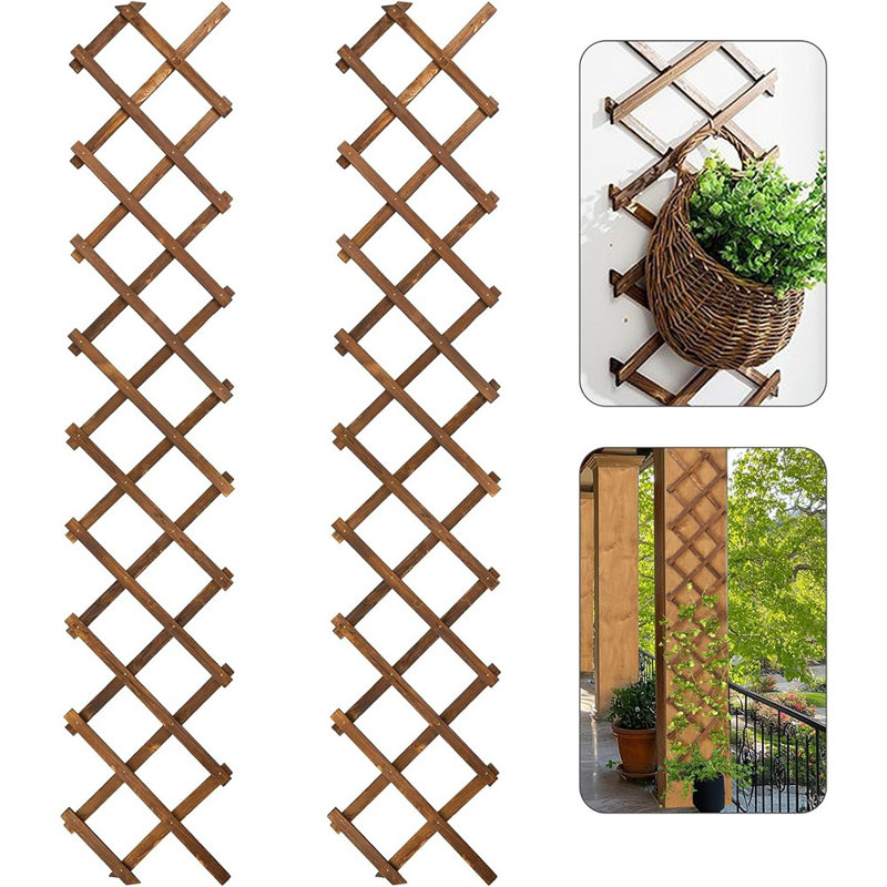Paquet de 2 plantes murales en bois très épais