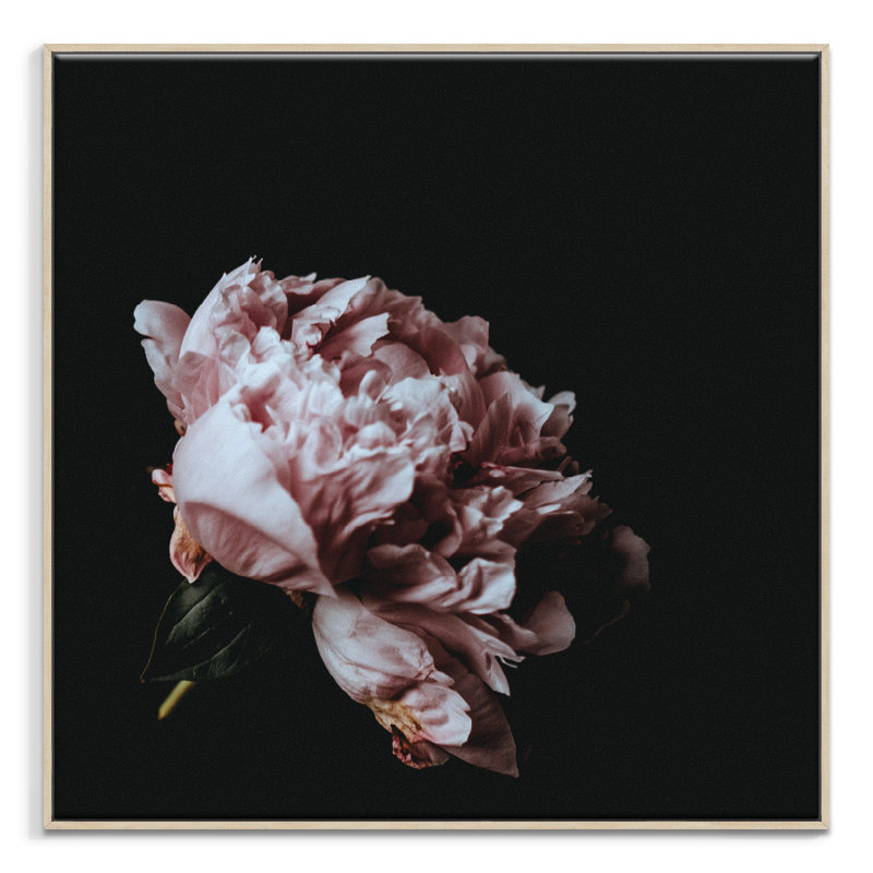 Painting on Canvas, 41cm H x 41cm W, Wrapped Canvas