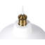 Abigail 1 - Light Dome Pendant-38833883