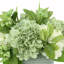 Hydrangeas with Berries Floral Arrangement