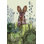 " Cabbage Patch Rabbit 6 " Mixed Media Painting