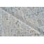 Vintage Looms Beige/Blue Polyester powerloom Area Rug-490885685