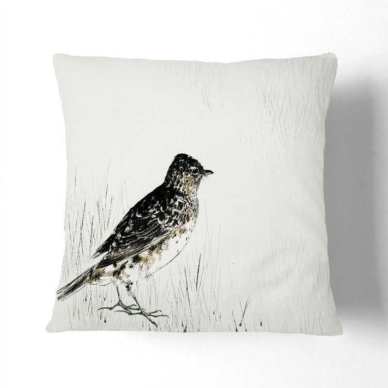 Square Throw Cushion, 55cm H x 55cm W x 20cm D