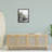 Coastal Beach Landscape-335636327-339031101