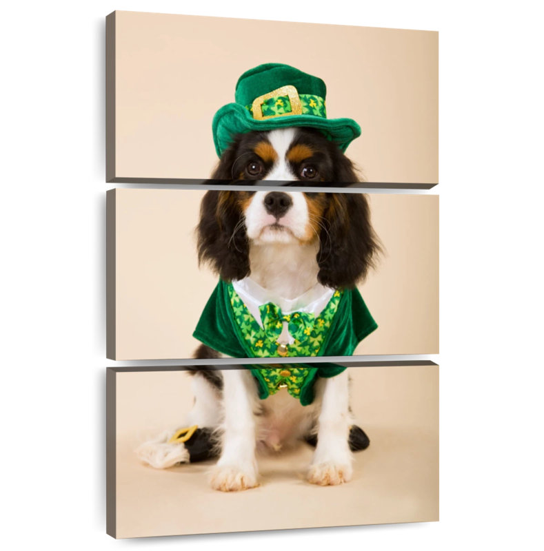 Brampt Dog In Leprechaun Costume, 57" H x 36" W