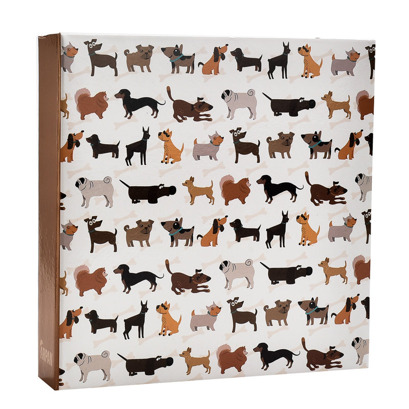 Paper Animals Album