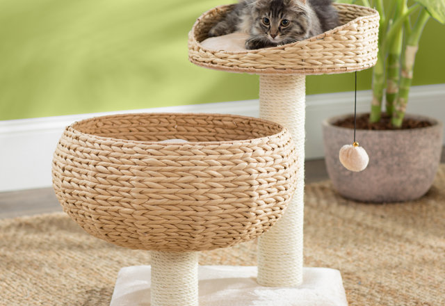 Just for Them: Cat Trees