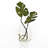 8 inch Glass Breda Table Vase, 107 oz Capacity