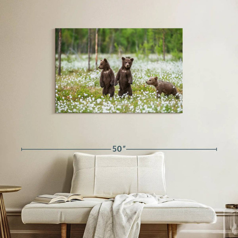 Brown Bear Cubs, 26" H x 39" W