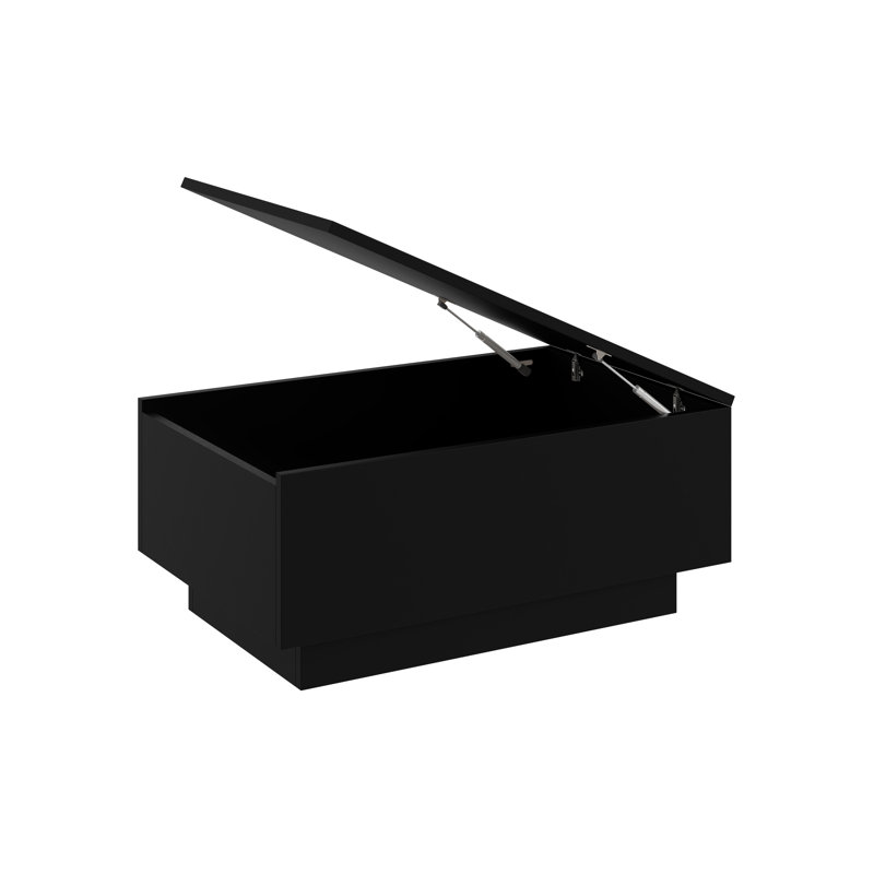 Coffee Table Caoilainn with Storage Compartments, 40cm H x 90cm L x 60cm W, Black