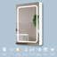 Armoire à pharmacie à miroir l 20,17 po x H 30,17 po