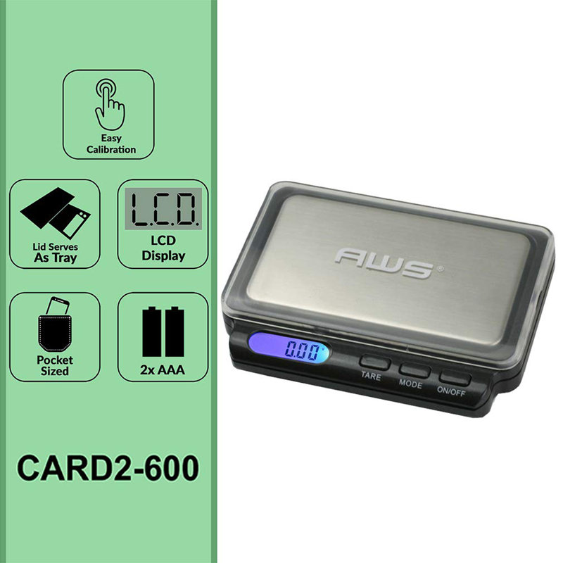 Gray Stainless Steel Digital Pocket Scale with Backlit Display