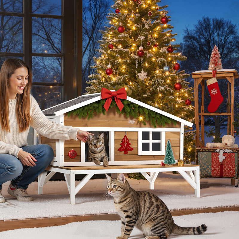 Cat House