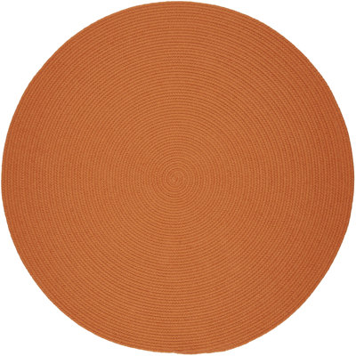 Smyth Hand Braided Synthetic Indoor / Outdoor Rug