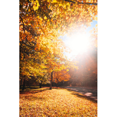 Autumn park Wall Art on Canvas
