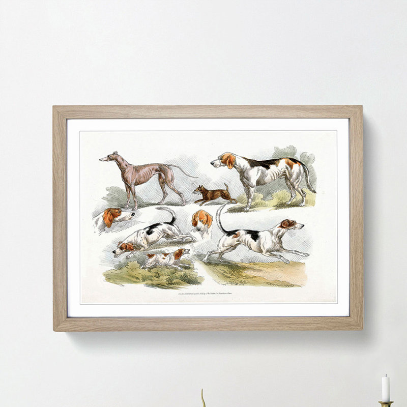 Hunting Dogs by Henry Alken - Framed Print, 48cm H x 65cm W x 2cm D, Oak Framed