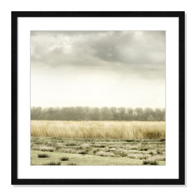 Henri "Meadowland" Print by Danita Delimont