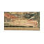 Wool Area Rug