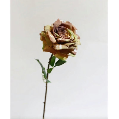 Painterly Rose Tige - 29,5 po