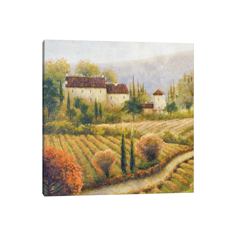 Tuscany Vineyard I by Michael Marcon - Wrapped Canvas Print, 30.48 cm H x 30.48 cm W