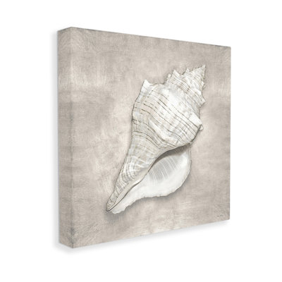«Rustic Gray Conch Shell», art mural par Amber Sterling