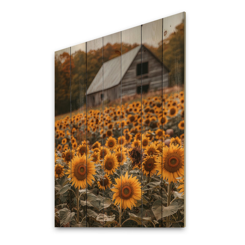 Sunflowers And The Pigsty Barn II - Sunflowers Wood Wall Decor - On Natural Pine Wood, 32" H x 24" W x 0.78" D