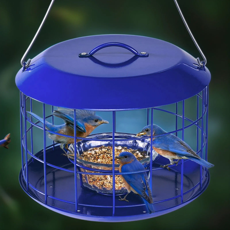 Mangeoire d'oiseaux en métal avec plateau Squirrel Proof