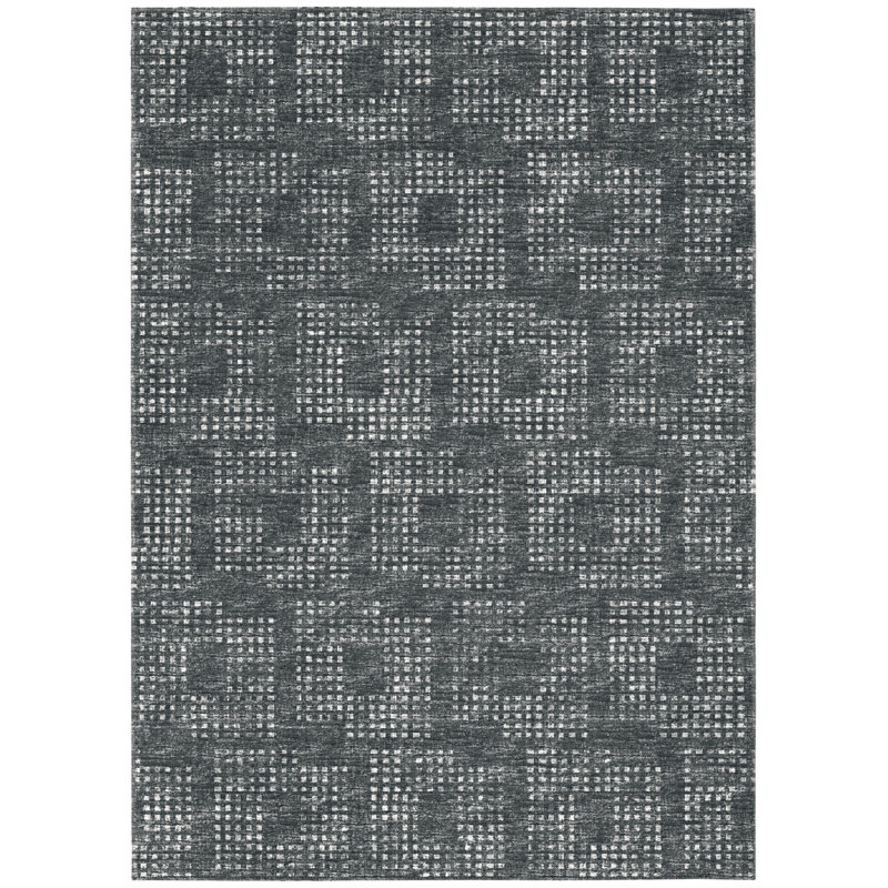 Ibtihaj Performance Chenille Washable Indoor / Outdoor Rug, Rectangle 8' x 10'