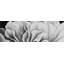 Magnifique imprimé de fleurs noires et blanches | Décoration romantique pour la maison-1403168965