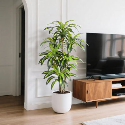 59"  Artificial Dracaena Plant 6-trunk Tree with Pot for indoor outdoor use