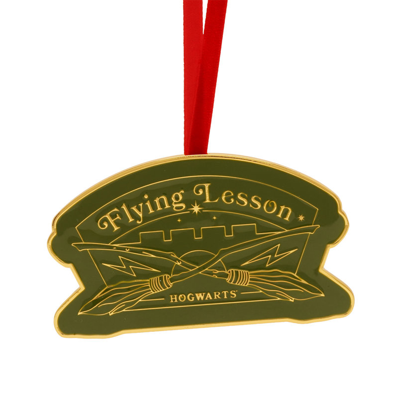 Harry Potter Alumni Hanging Dec Flying Lessons