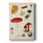 Mushroom Species VI - Gallery Cavas-1438791711