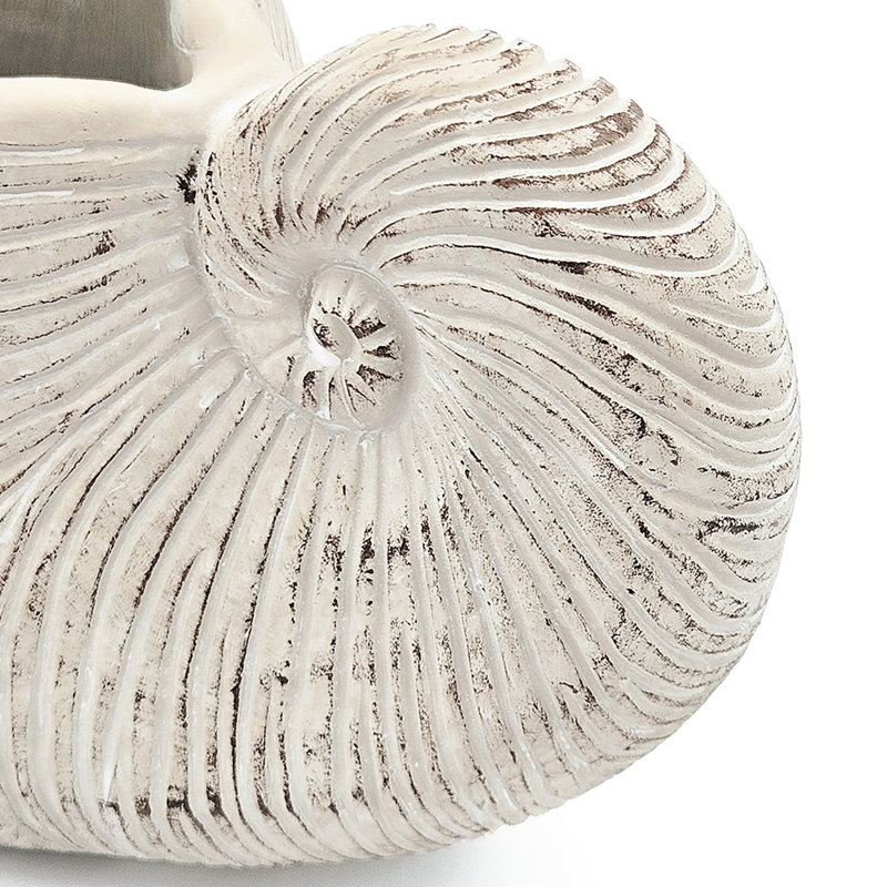 Textured Beige Finish Sand And Cement Shell Planter For Herbs Adding A Relaxed Feeling To Your Bedroom 11.5X6.7X7.7 Inches In Form With Neutral Colorway Trailing Plant Arrangements