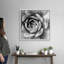 «Garden Succulent II», art mural sur toile-1105432444-1105432445