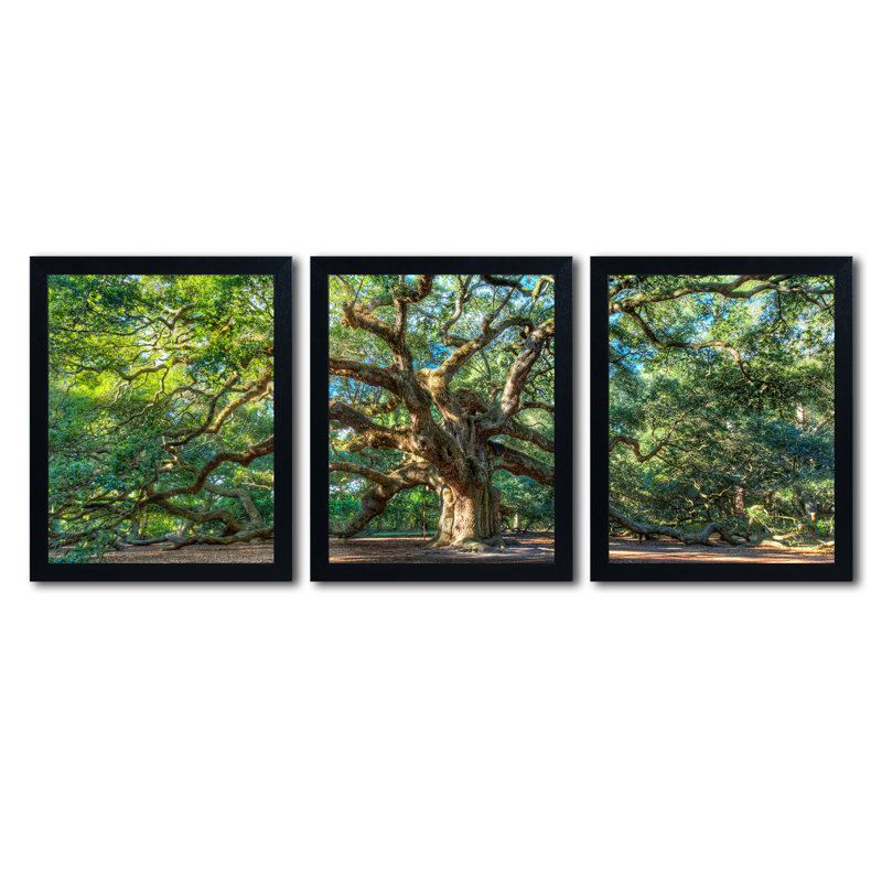 « ange oak charleston », ensemble de 3 reproductions de photos encadrées sur toile