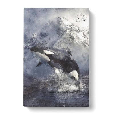 Killer Whale - Wrapped Canvas Print