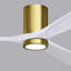 Irene LED Ceiling Fan-98976998-24425153-99192944