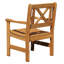 Ardilla Patio Dining Armchair-49501991