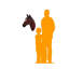 Statue tête de cheval-368923049