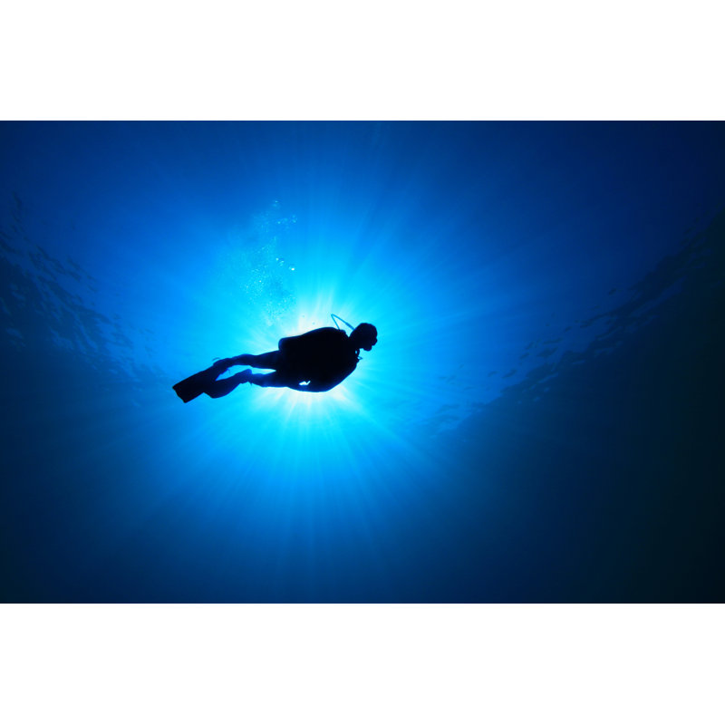 Scuba Diver - Wrapped Canvas Print, 30cm H x 46cm W x 3.8cm D