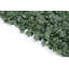 Feuille de lierre verte extensible 36 po x 72 po