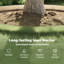 Lawn Edging 10 Pcs Grey Steel-923455812