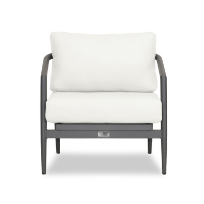 Delaine Powder Coated Aluminum Outdoor Lounge Chair , Sunbrella® Cushions Included