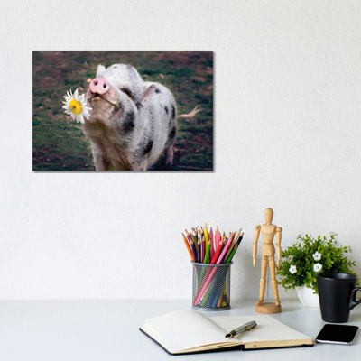 Miss Daisy 1 Piece Wrapped Canvas Wall Art