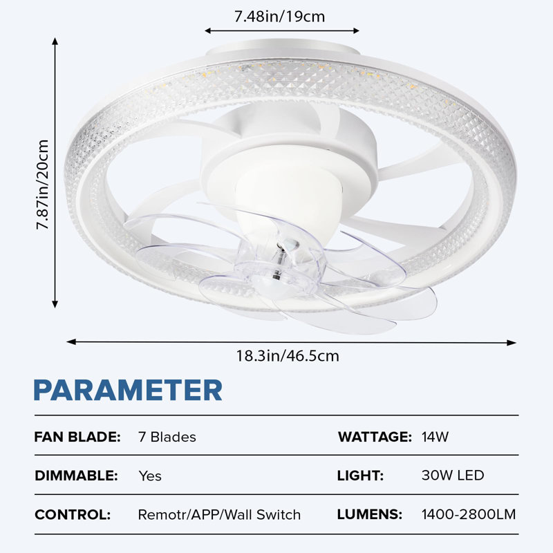 Ceiling Fan with LED Lights