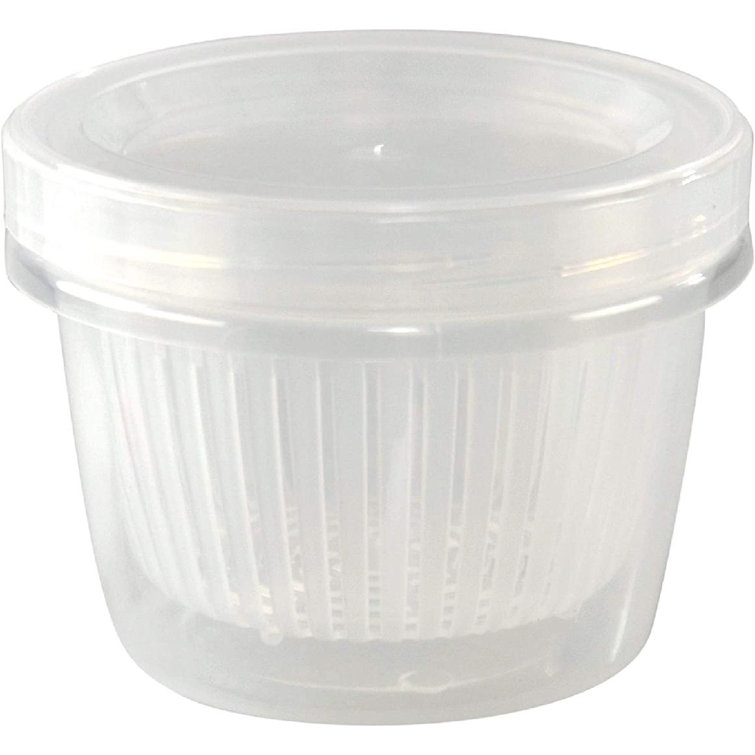 https://assets.wfcdn.com/im/02359672/resize-h755-w755%5Ecompr-r85/2160/216050223/Clear+Plastic+Storage+Container+With+Removable+Strainer+And+Lid%2C+Small+Food+Storage+Container.jpg