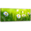 Daisies In The Grass - No Frame Print on Canvas-98483929