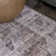 Alanya Ornate Medallion Machine-Washable Brown/Light Gray Rug