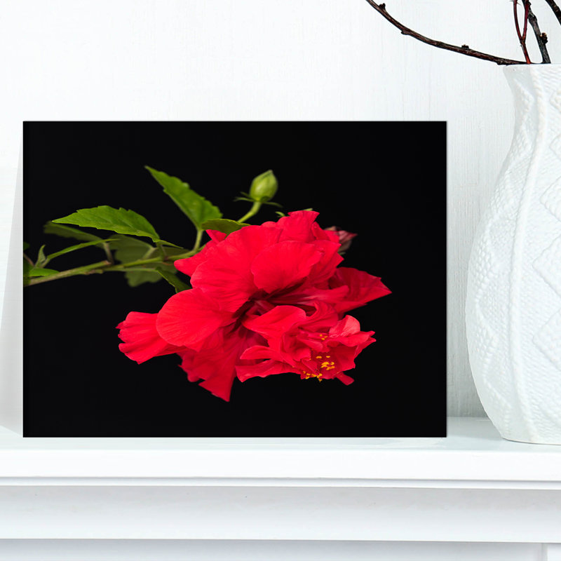 Hibiscus rouge vif sur fond noir - impression sur toile tendue, H 8 po x l 12 po x P 1 po