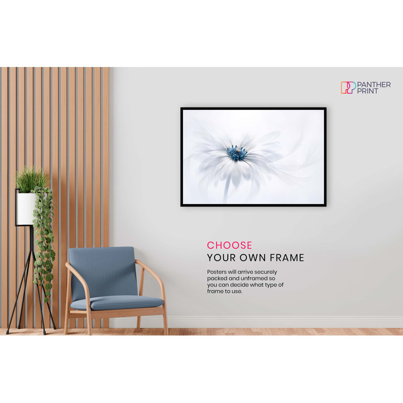 Daisy Flower Blue Pollen - No Frame Print, 91cm H x 61cm W